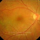 o01-ti02-17842-20060929-001