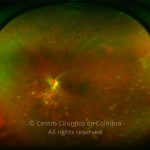 o01-ti02-2184901-20140409-838