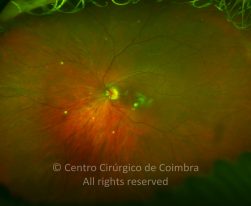 o01-ti02-2207452-20151021-001