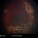 o01-ti02-26435-20091130-021