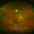 o01-ti02-5021-20120412-999