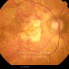 o01-ti02-558-20111102-001