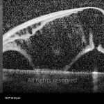 o01-ti03-13041-20100223-048