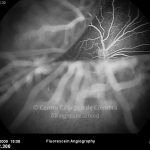 o01-ti07-120602-20090720-026