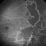 o01-ti07-127856-20091116-062