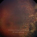 o02-ti02-127856-20091130-021