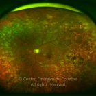 o02-ti02-1632-20120214-001