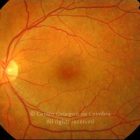 o02-ti02-17842-20060929-001