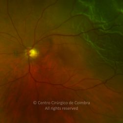 o02-ti02-2144824-20110129-002