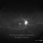 o02-ti02-2168082-20130502-002