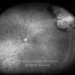 o02-ti02-2179184-20131024-007 (1)