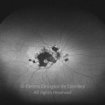 o02-ti02-7154-20120329-994