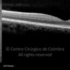 o02-ti03-2146967-20110405-035