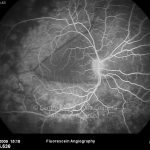 o02-ti07-120602-20091130-107