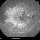 o02-ti07-2137629-20100924-008