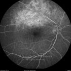o02-ti07-2155735-20120202-018