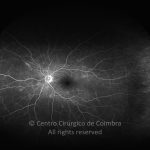 o02-ti07-2160835-20120430-997