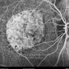 o02-ti07-24186-20110304-009