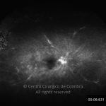 o02-ti07-24865-20130820-002