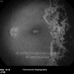 o02-ti07-26435-20091130-067