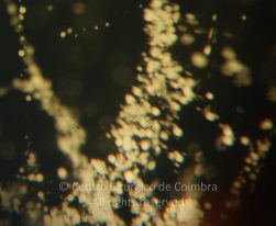 o02-ti12-2134398-20100608-011