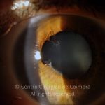 o02-ti12-2153005-20140728-001