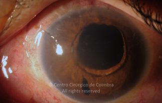 o02-ti12-2158655-20120404-001