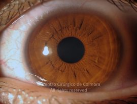o02-ti12-2160217-20120426-002