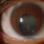 o02-ti12-2174453-20140106-009