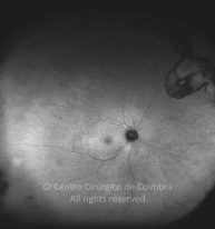 o02-ti15-2136404-20121029-002