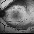 o02-ti15-2147632-20121119-003