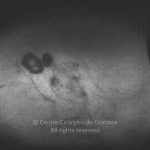 o02-ti15-2175524-20130711-004