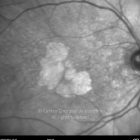 o02-ti16-2157301-20120209-002
