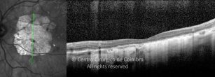 o04-ti03-558-20190719-004