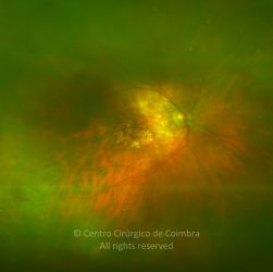 o08-ti02-2157301-20120209-003