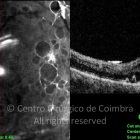 o08-ti03-119001-20090424-013