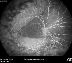 o08-ti07-120602-20091102-074
