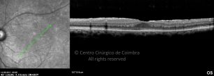 o09-ti03-2144824-20110914-005