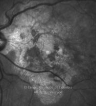 o10-ti16-8658-20160115-008