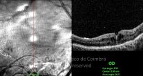 o12-ti03-119001-20090427-002