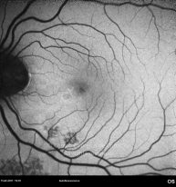 o70-ti15-13041-20110215-004