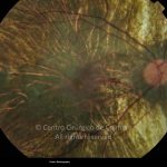 o01-ti02-17504-20130211-002