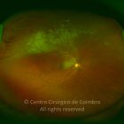 o01-ti02-2113-20110401-999