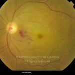 o01-ti02-2162333-20120605-002