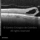 o01-ti03-2157274-20120130-008