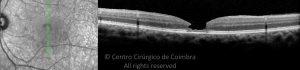 o01-ti03-2165336-20120904-045