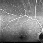 o01-ti07-126127-20091214-044