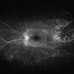 o01-ti07-2137110-20100902-998