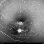 o01-ti07-2144600-20120717-032
