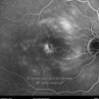 o01-ti07-2148736-20110622-009